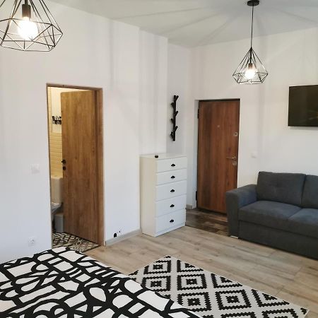 Central Park Studio Petroszany Zewnętrze zdjęcie