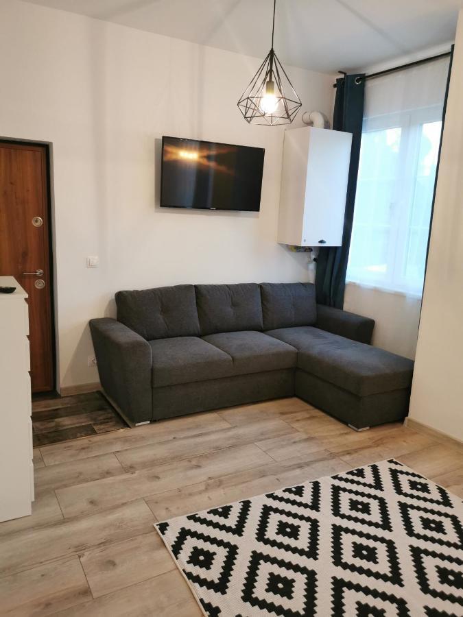 Central Park Studio Petroszany Zewnętrze zdjęcie
